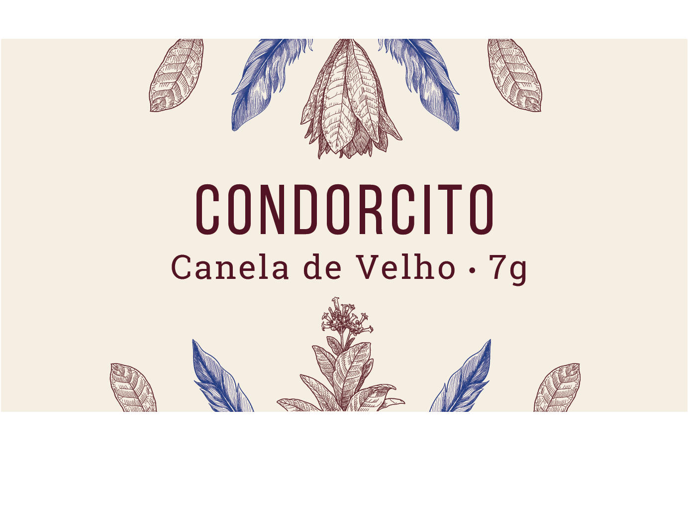 Canela de Velho